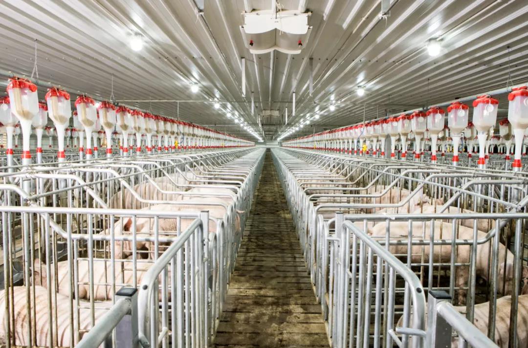 ����ϣ����williamhill(�й�)���Ĺٷ���վ