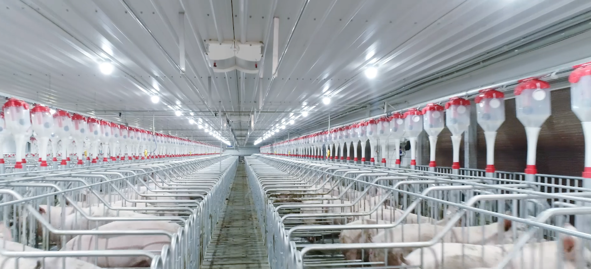 ����ϣ����williamhill(�й�)���Ĺٷ���վ