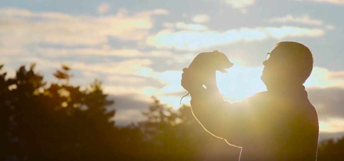 ����ϣ����williamhill(�й�)���Ĺٷ���վ