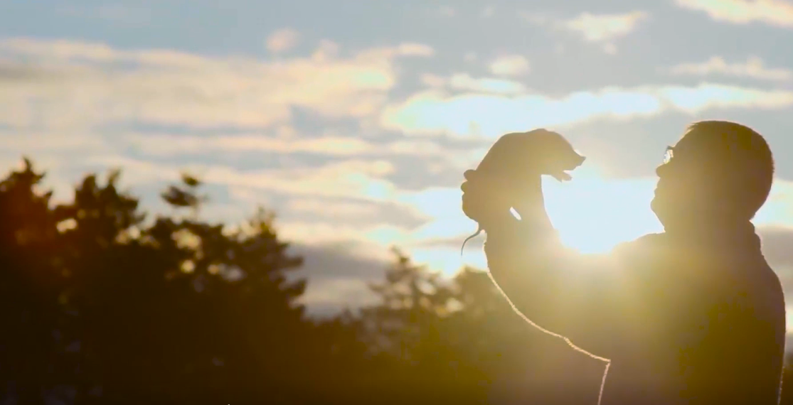 ����ϣ����williamhill(�й�)���Ĺٷ���վ