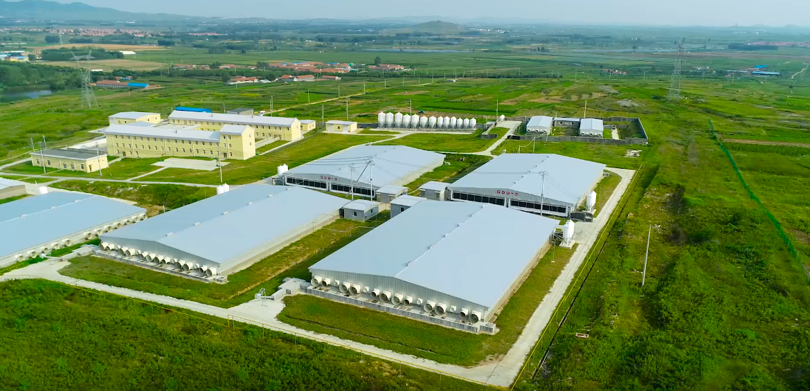 ����ϣ����williamhill(�й�)���Ĺٷ���վ