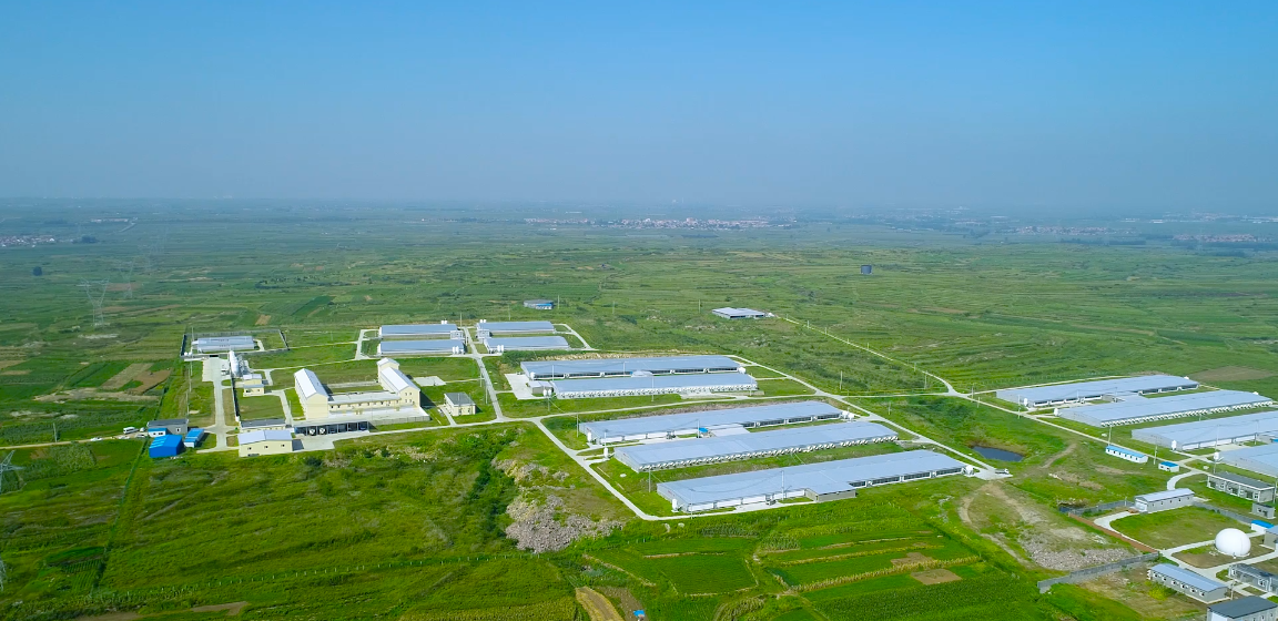 ͼƬ1.png ÍþÁ®Ï£¶û¡¤williamhill(Öйú)ÖÐÎĹٷ½ÍøÕ¾