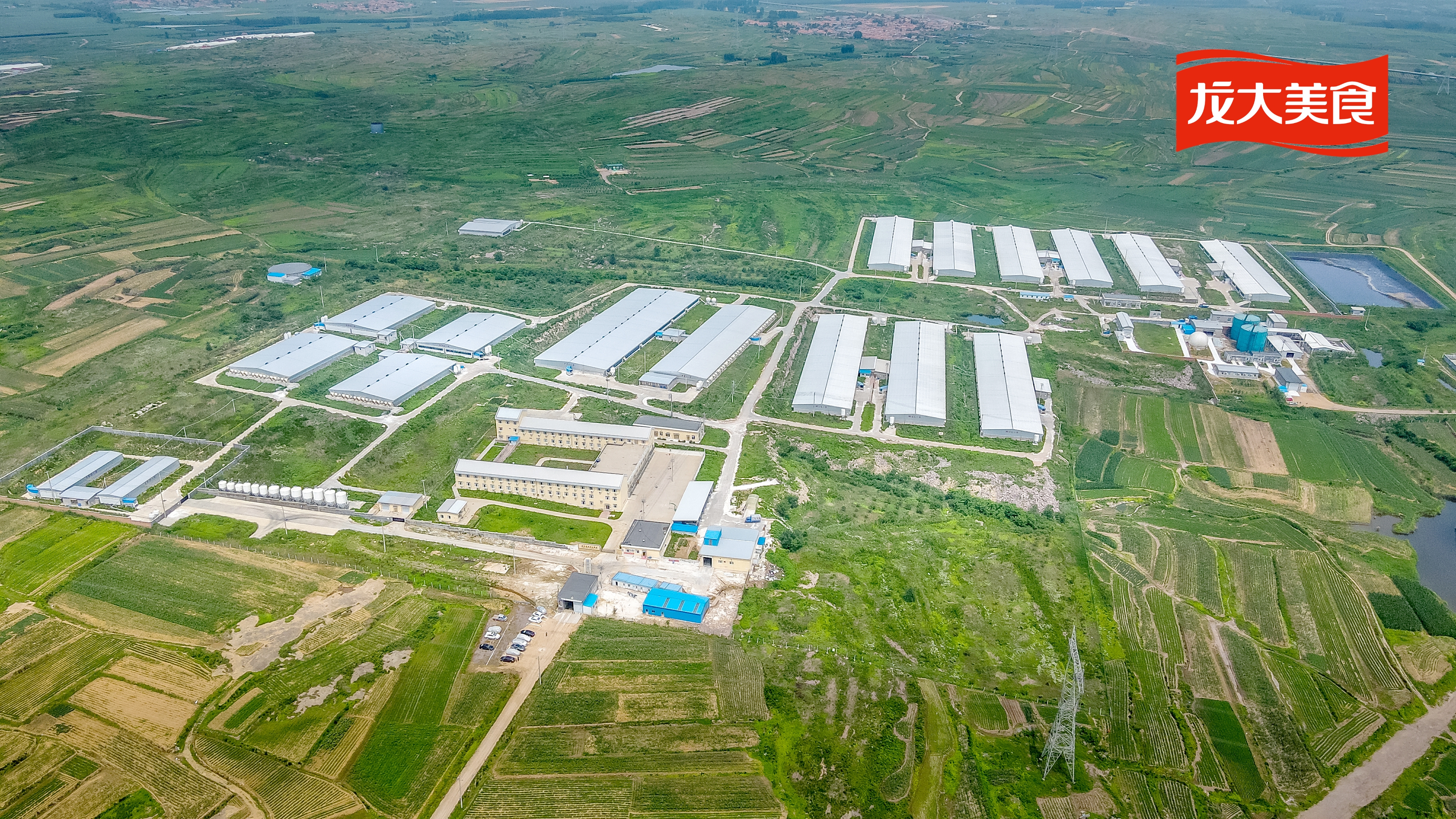 WilliamHill�ٷ���վ��ʳ˳���������ɺ�������WilliamHill�ٷ���վ���������������У�